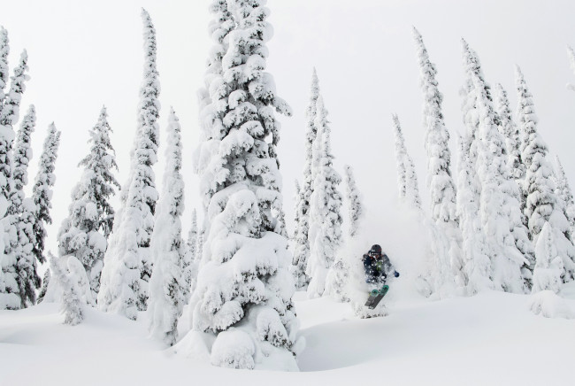 Обои картинки фото спорт, лыжный спорт, горнолыжный, деревья, снег