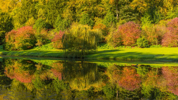 Картинка природа реки озера вода деревья отражение