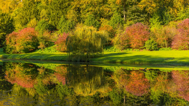 Обои картинки фото природа, реки, озера, вода, деревья, отражение