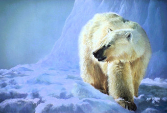 обоя рисованное, животные,  медведи, белый, медведь, снег, льды