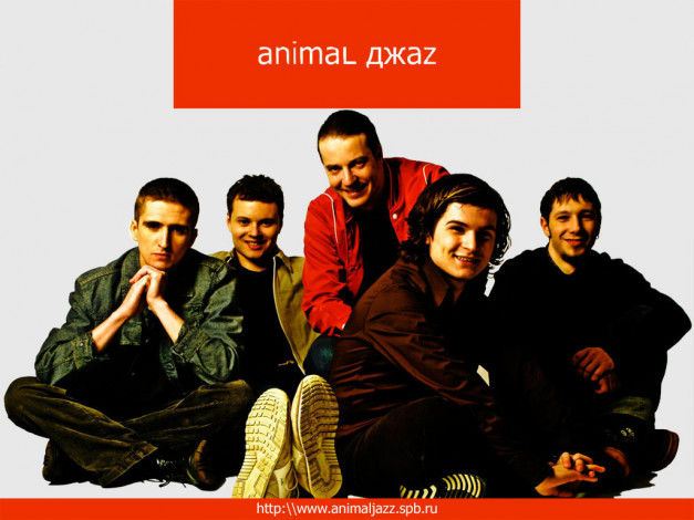 Обои картинки фото animal, джаzz1, музыка, джаz