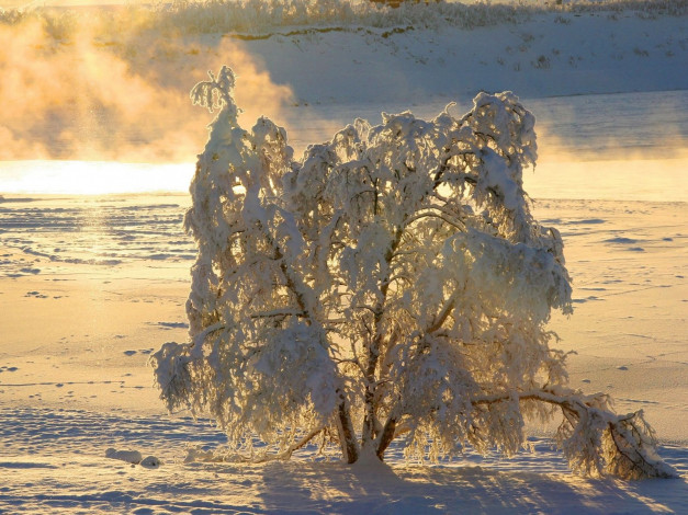 Обои картинки фото 