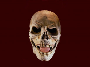 обоя череп, разное, кости, рентген, клыки, вампир
