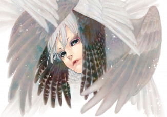 обоя фэнтези, ангелы, крылья, перья, лицо