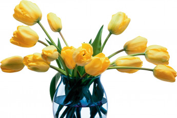 Картинка цветы тюльпаны желтые ваза