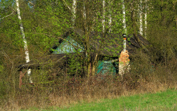 Картинка разное развалины руины металлолом лес домик труба