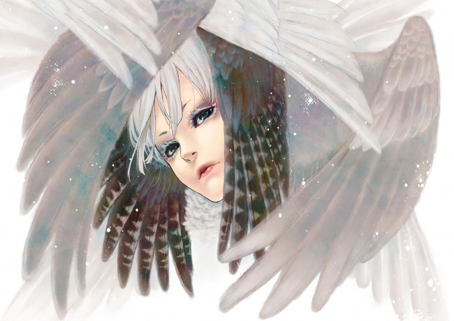 Обои картинки фото фэнтези, ангелы, крылья, перья, лицо