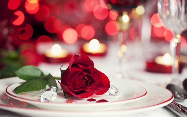 Обои картинки фото цветы, розы, тарелка, роза