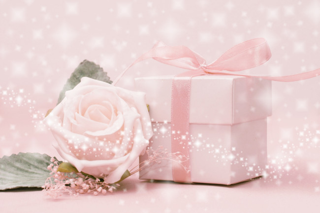 Обои картинки фото цветы, розы, коробочка, подарок