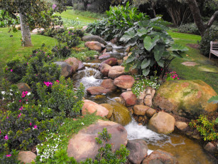 Картинка природа парк сад ручей цветы камни