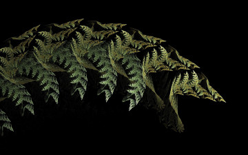 Картинка 3д+графика fractal+ фракталы растение папоротник