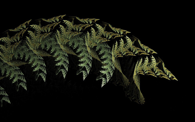 Обои картинки фото 3д графика, fractal , фракталы, растение, папоротник