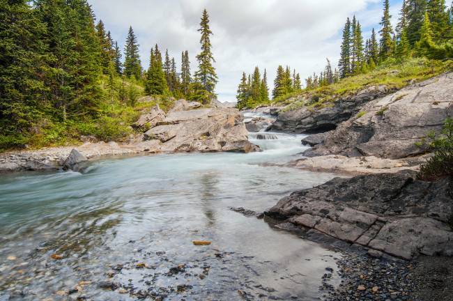 Обои картинки фото nigel creek,  banff national park, canada, природа, реки, озера, alberta, banff, national, park, канада, альберта, банф, ручей, речка, лес, nigel, creek