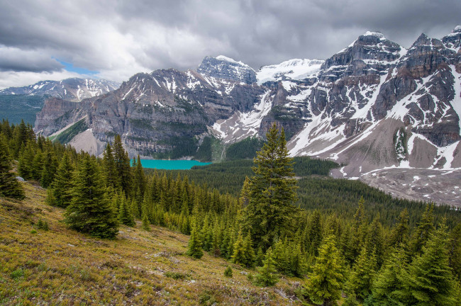 Обои картинки фото valley of the ten peaks,  banff national park,  canada, природа, горы, канада, банф, альберта, moraine, lake, canada, alberta, озеро, морейн, лес, valley, of, the, ten, peaks, долина, десяти, пиков, banff, national, park