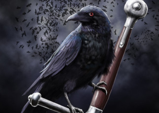 Картинка ворон фэнтези другое птица меч чёрный