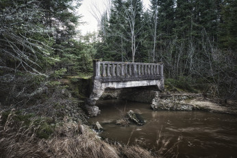 Картинка природа реки озера мост река лес