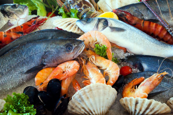 обоя еда, рыба,  морепродукты,  суши,  роллы, креветки, ракушки, мидии