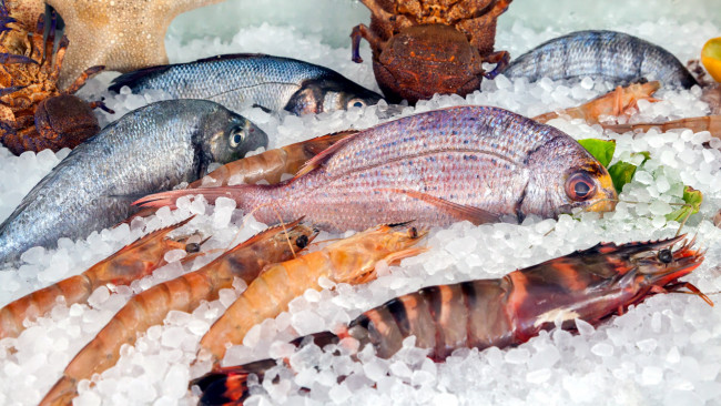 Обои картинки фото еда, рыба,  морепродукты,  суши,  роллы, креветки, лед, крабы