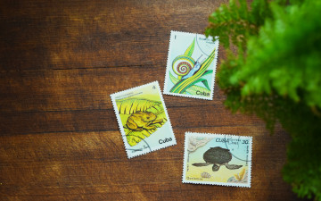 Картинка разное ретро +винтаж почтовые марки текстура темного дерева с животными куба почта путешествие на кубу