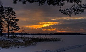 Картинка природа восходы закаты закат лес снег следы