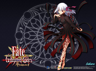 Картинка видео игры fate unlimited codes