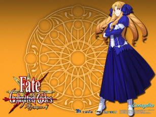 Картинка видео игры fate unlimited codes