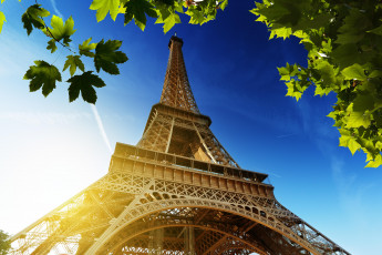 Картинка города париж франция небо эйфелева башня листья