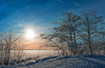 Картинка природа зима снег побережье деревья балтийское море финляндия утро восход