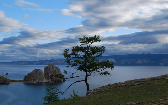 Обои картинки фото природа, побережье, дерево, скалы, озеро