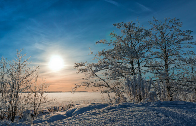 Обои картинки фото природа, зима, снег, побережье, деревья, балтийское, море, финляндия, утро, восход