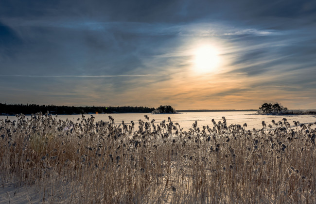 Обои картинки фото природа, восходы, закаты, балтийское, море, финляндия, лёд, камыш, закат