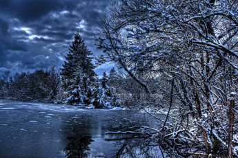 Картинка природа зима лес вода ели