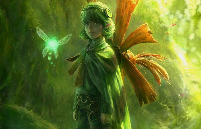 Обои картинки фото видео игры, the legend of zelda, шляпа, эльф, зелень, головной, убор, фея, мальчик, зелёные, волосы, лес