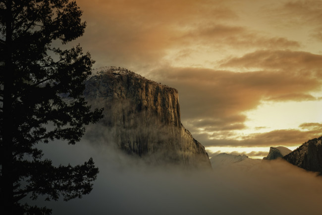 Обои картинки фото природа, горы, сша, йосемити, национальный, парк, скала, эль, капитан, утро, туман