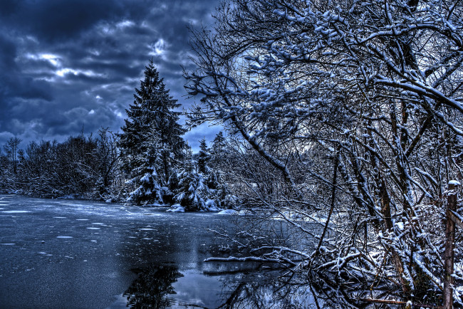 Обои картинки фото природа, зима, лес, вода, ели