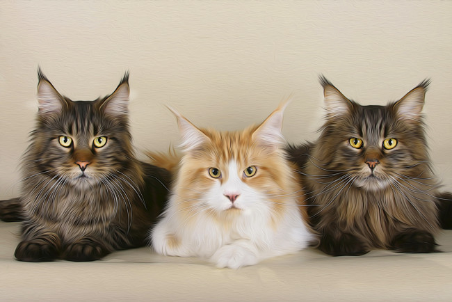 Обои картинки фото рисованные, животные,  коты, кота, три