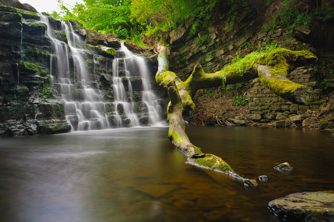 Обои картинки фото природа, водопады, лес, камни, поток, деревья, водопад, скала