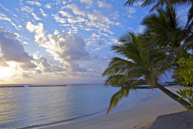 Обои картинки фото природа, тропики, пляж, берег, закат, пальмы, море