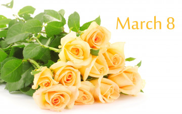 обоя праздничные, международный женский день - 8 марта, 8, марта, розы, букет