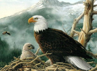 Картинка рисованное животные +птицы +орлы орлы гнездо горы