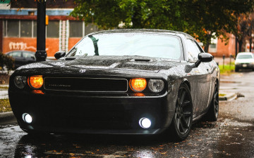 Картинка dodge+challenger автомобили dodge черный дождь город улица