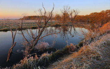 Картинка природа реки озера река закат трава иней