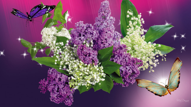 Обои картинки фото lilacs, and, butterflies, цветы, букеты, композиции