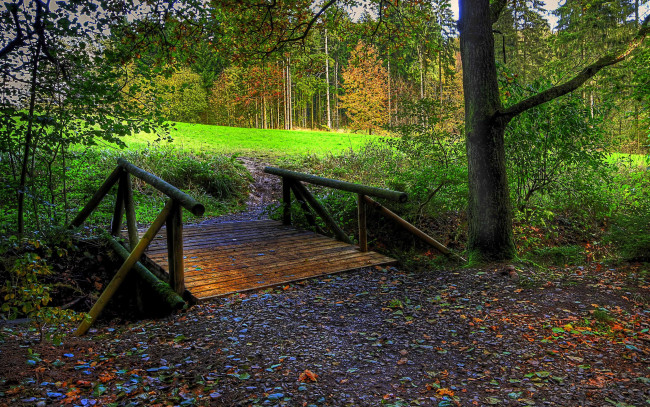 Обои картинки фото bridge, to, the, forest, природа, лес, мост