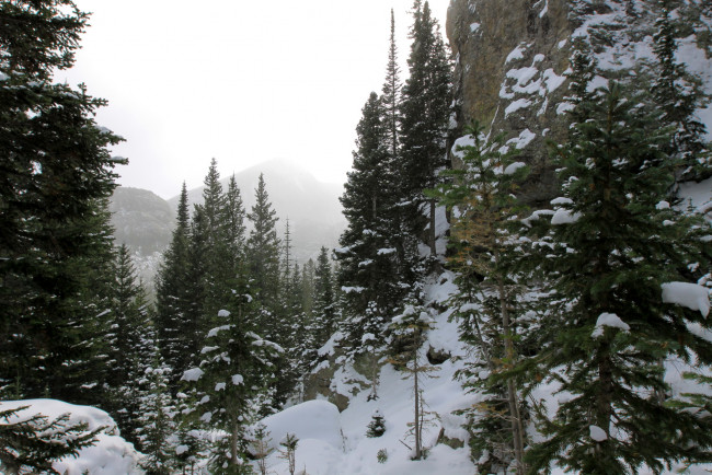 Обои картинки фото природа, зима, colorado, rocky, mountain, national, park