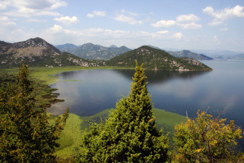 Картинка skadarsko jezero Черногория природа реки озера озеро