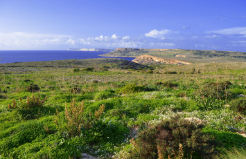 Картинка 379 ebbieg& 295 malta природа побережье пейзаж