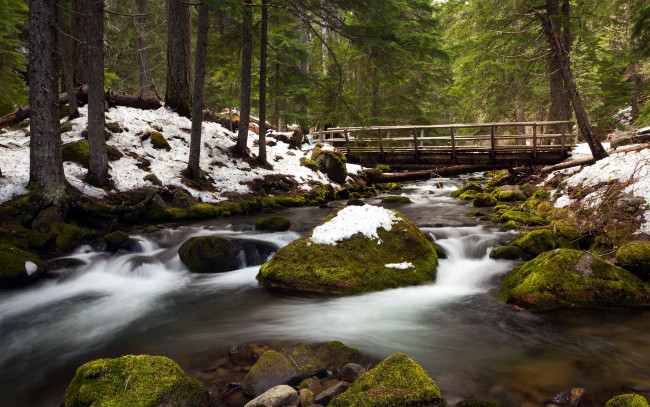 Обои картинки фото природа, реки, озера, снег, деревья, река, лес, мост, камни