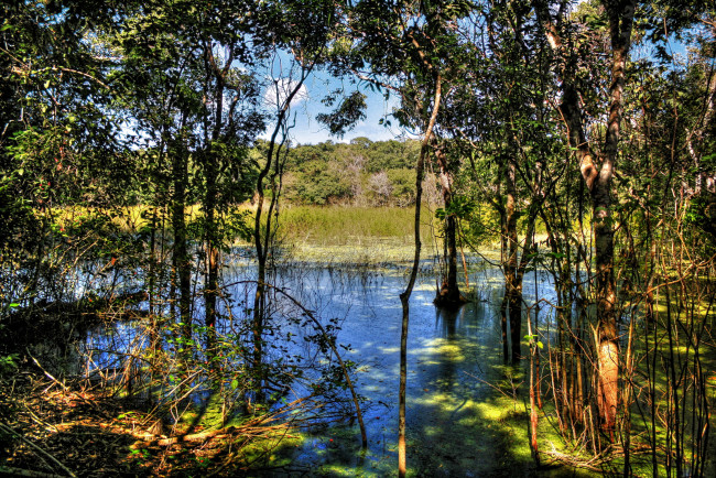 Обои картинки фото calakmul, мексика, природа, реки, озера, река, деревья