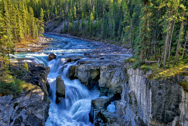 Обои картинки фото jasper, national, park, canada, природа, реки, озера, sunwapta, falls, river, канада, водопад, река, скалы, лес, деревья